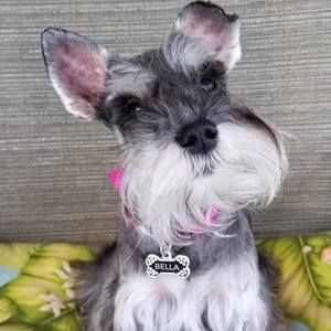 Meet your Posher, Lori